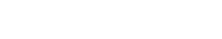 BONUS Banca de Inversión